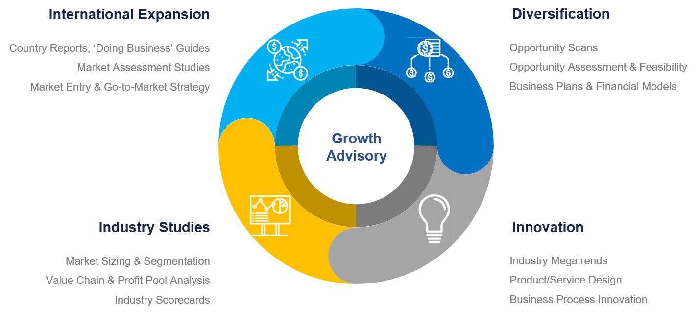 Growth Initiatives