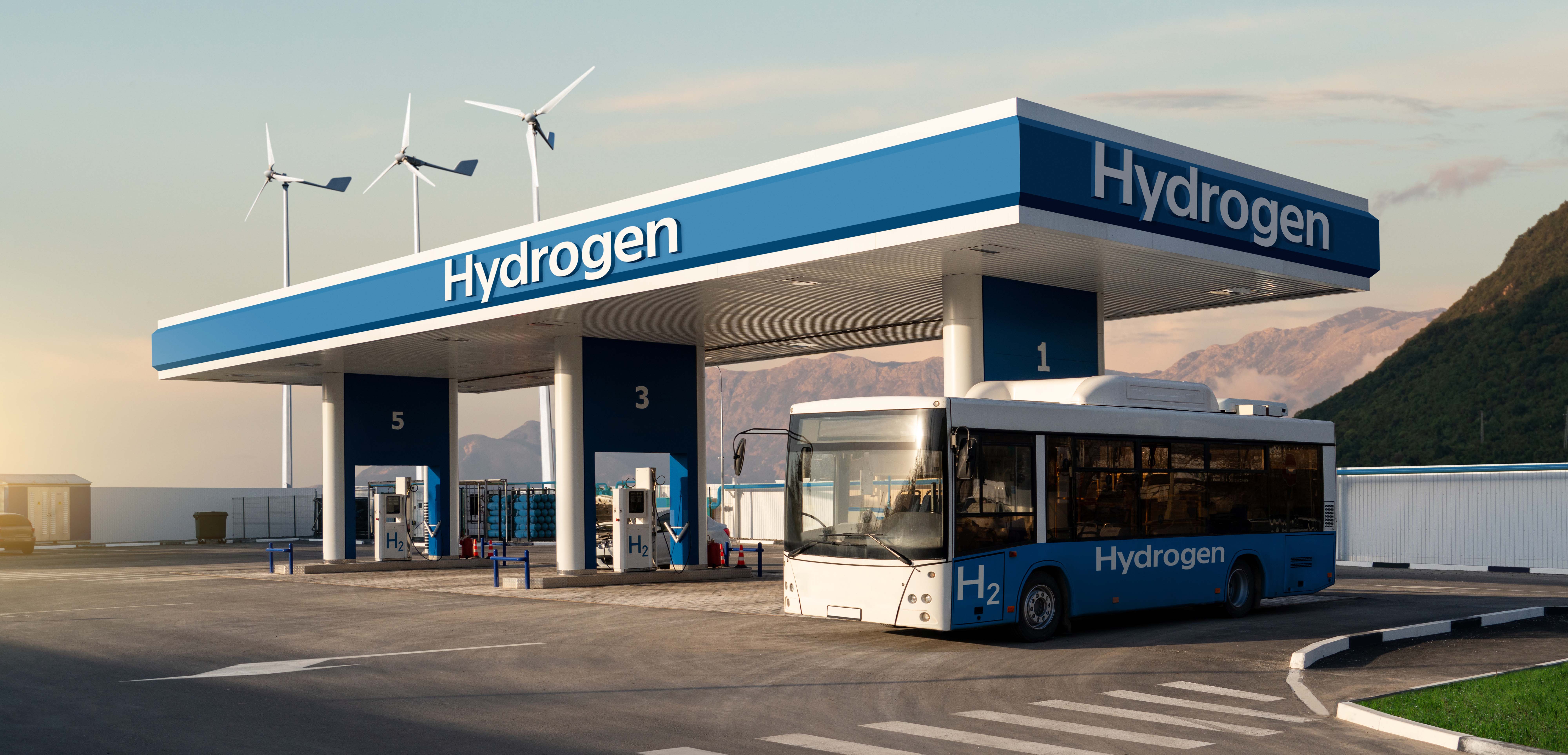 Green hydrogen in Decarbonizing Emission Intensive Sectors
