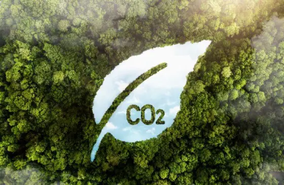 carbon-accounting-for-companies-image-thumb