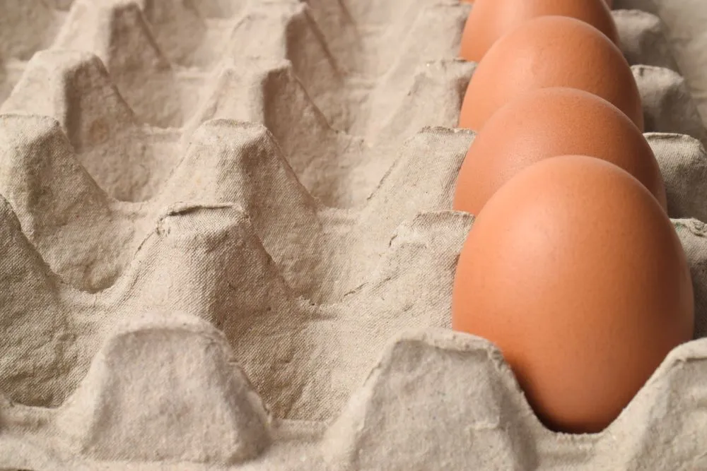 Molded Fiber Egg Packaging in ASEAN