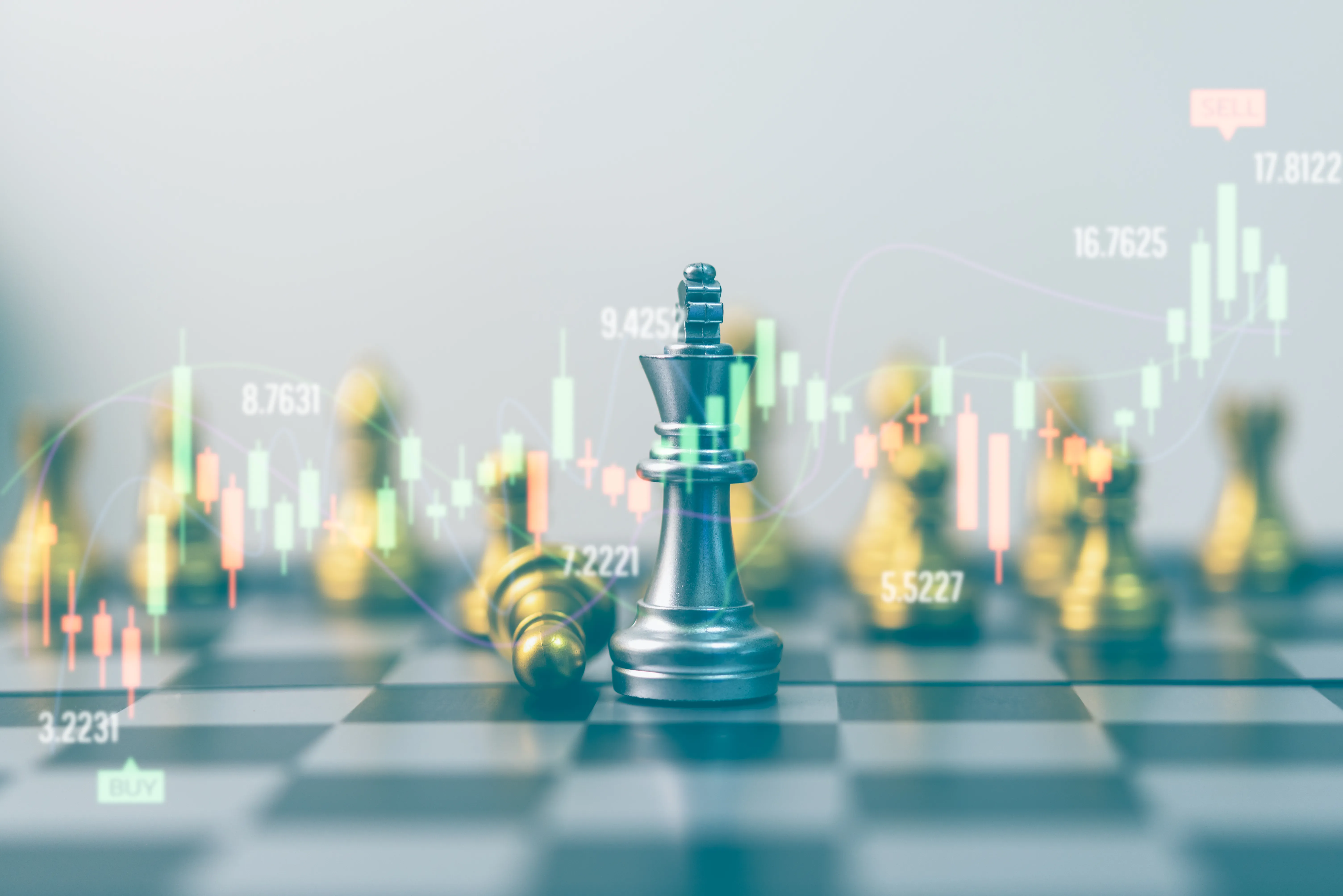 Investment Strategy