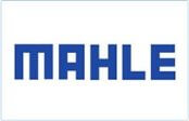 Aranca client - Mahle Group