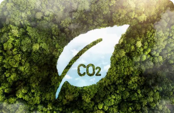 carbon-accounting-thumb-image