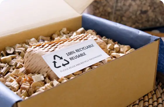 eco-friendly-disposable-hygiene-products-insights-image