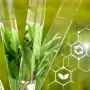sustainability-trends-in-agrochemicals-thumbcircle