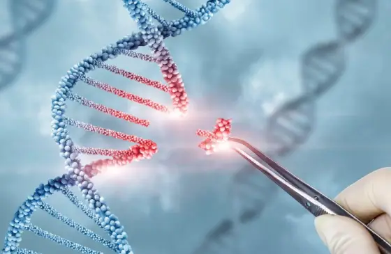 gene-therapy-type1-diabetes-2025-thumb-image