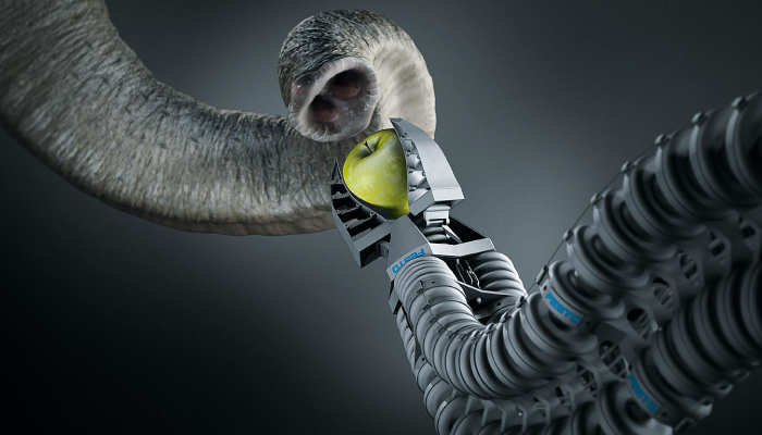 Elephant Trunk inspired Robotic Arms Elephant Trunk inspired Robotic Arms