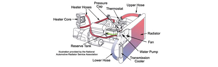 Engine Cooling System
