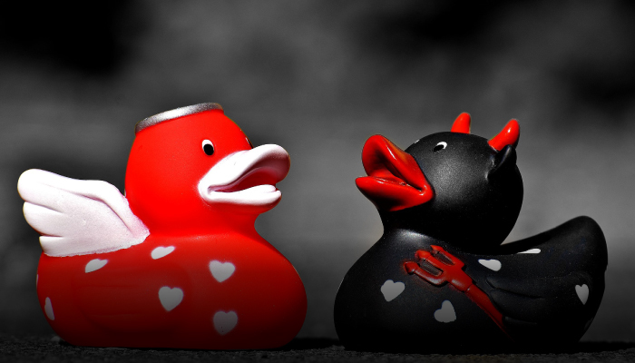 Venture Capital Investment Analysis