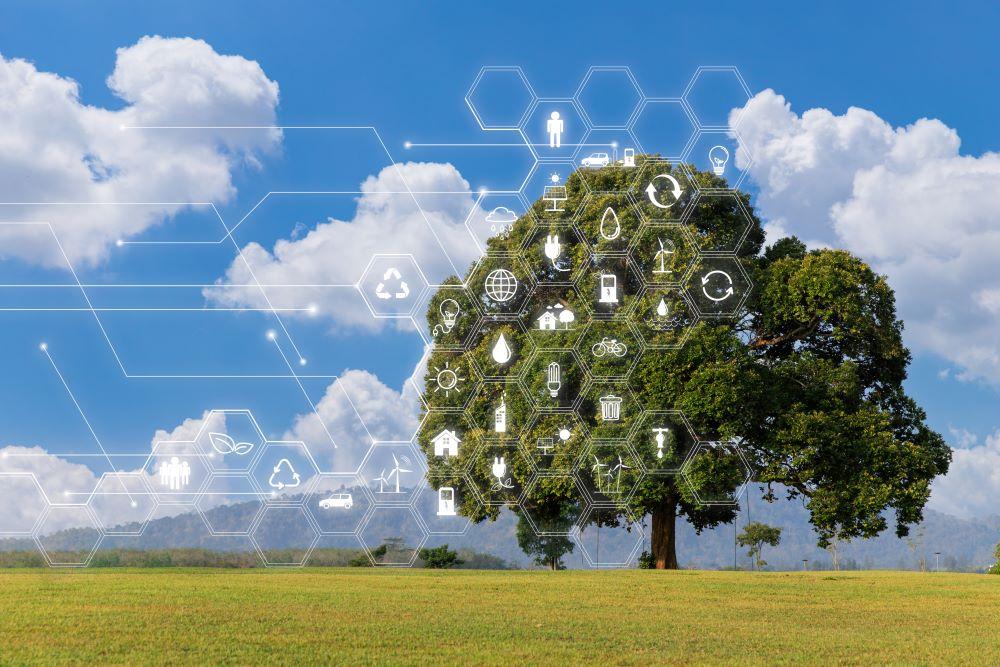 Climate Tech Investment