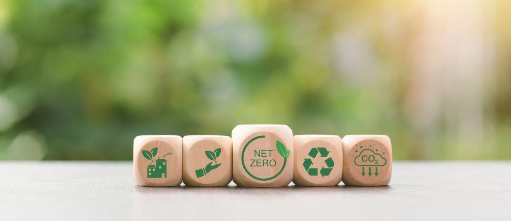 Net Zero Strategy Development