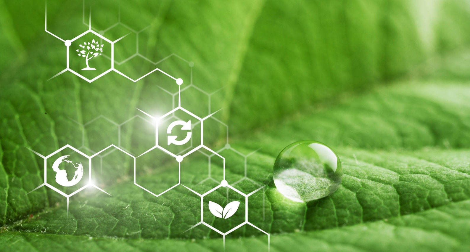 Green Chemistry: Promoting Sustainability in the Paints and Coating  Industry | Aranca