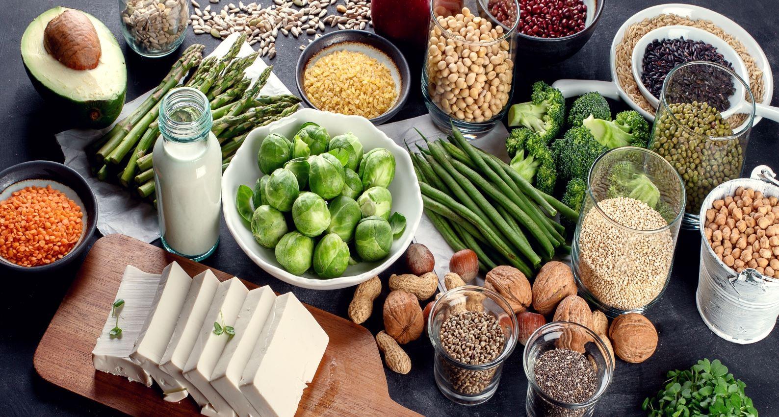 ‘Meatless’ Meat Opportunities for Plantbased Protein