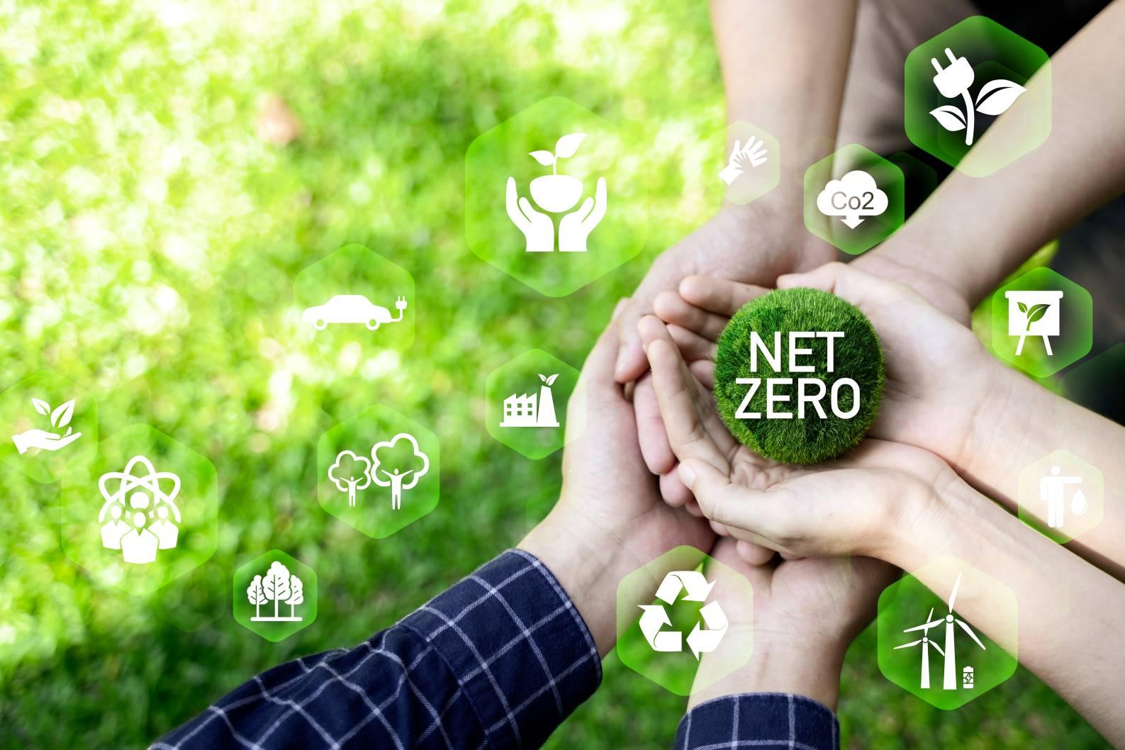 Team holding a Net Zero globe, symbolising a net zero commitment and transition plan
