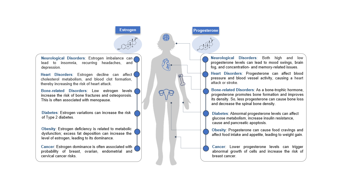 The Progesterone Paradox - How Hormones Can Affect Women's Training – 1 Up  Nutrition