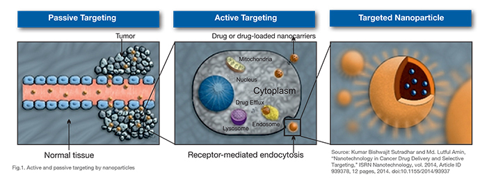 Nanoparticles target tumour cells Nanoparticles target tumour cells