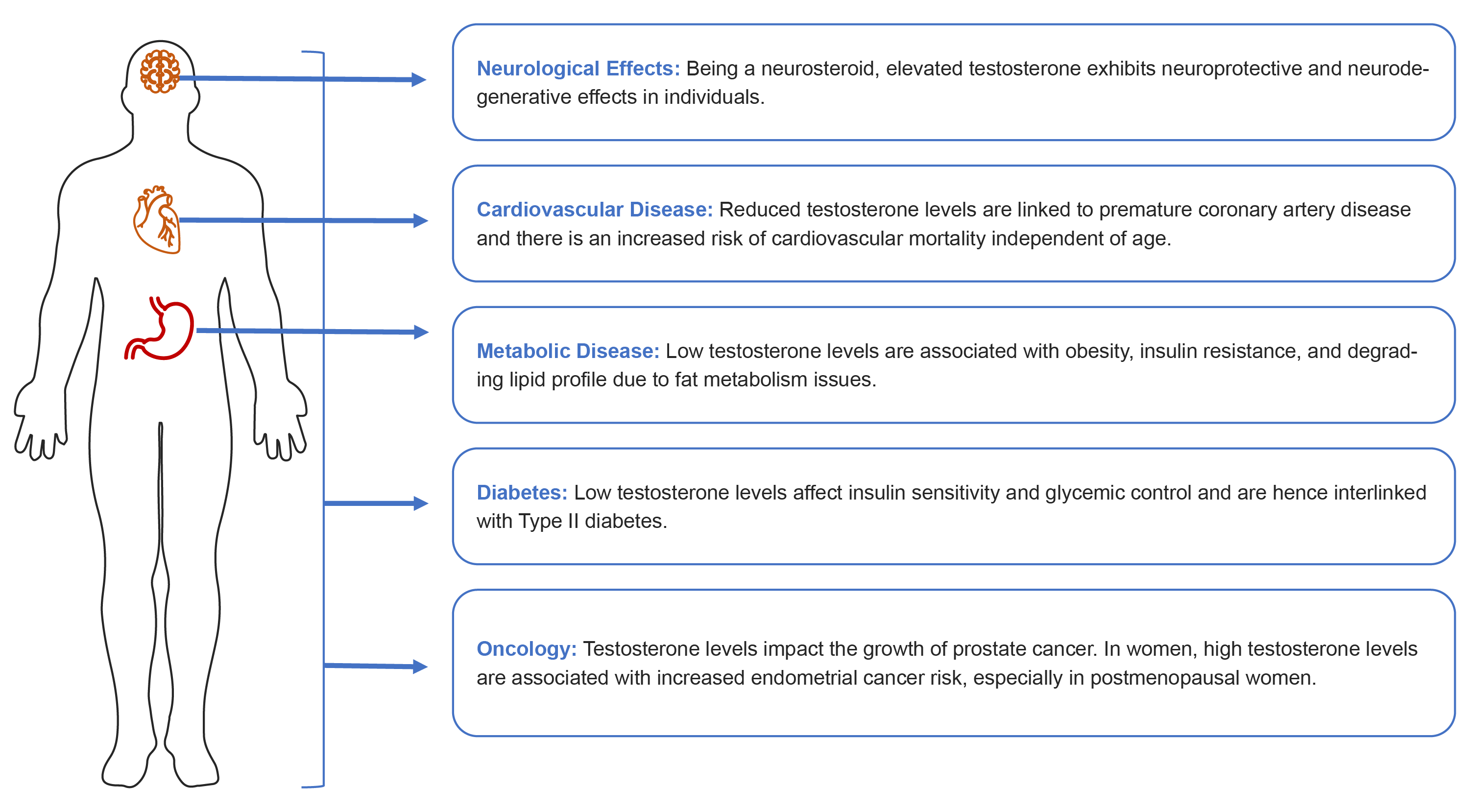 Testosterone Test – Testosterone Deficiency Home-to-lab – Verisana Lab