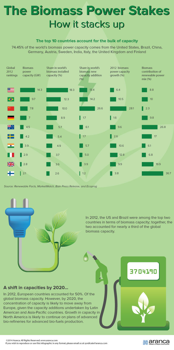 Biomass Power Stakes