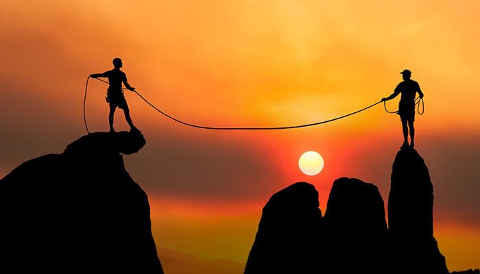 Investment Portfolio Management Advisory