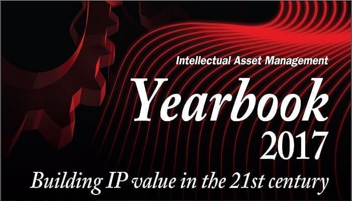 IP Financing Analysis