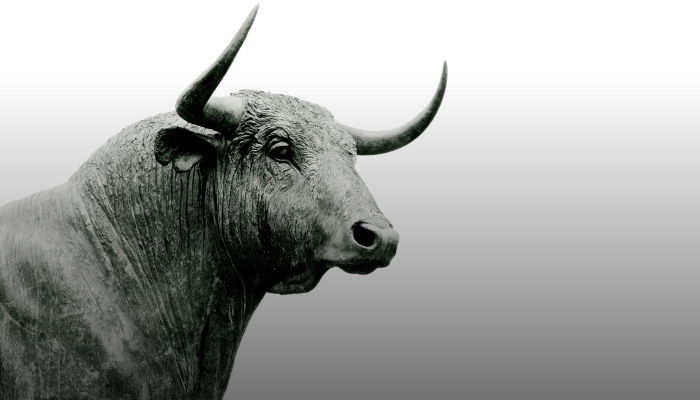 Portfolio Management Advisory