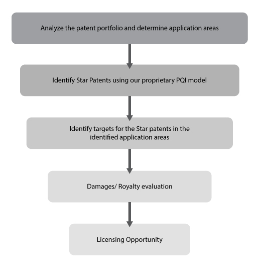 Patent_Licensing_Monetization_Support