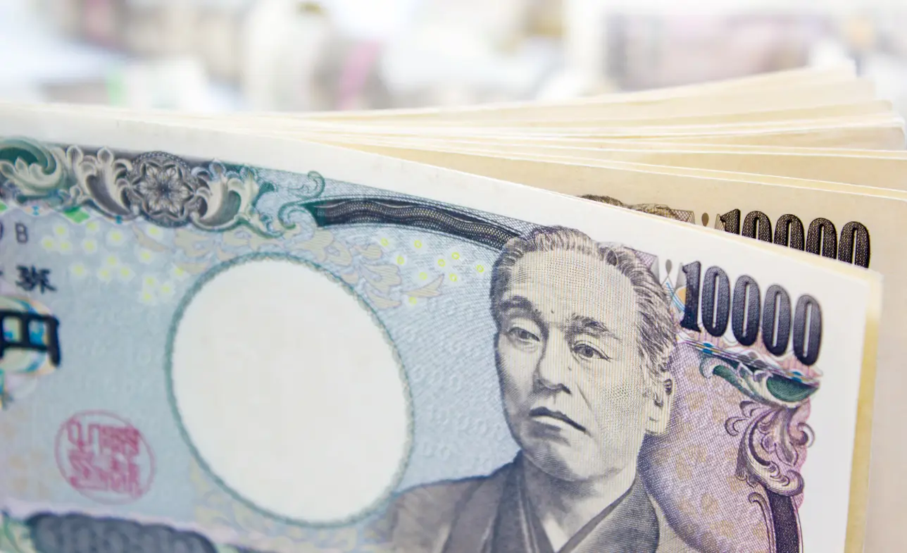 global-advisory-networks-japanese-companies